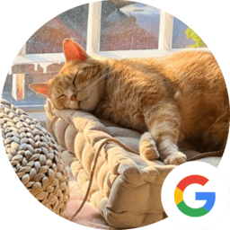 Testimonio mejora de convivencia con adopción de gatos adultos