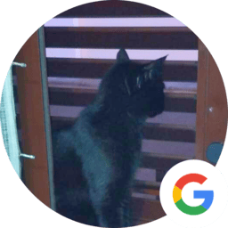 Testimonio mejorar comprensión y convivencia con gatos