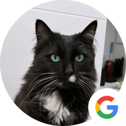 Testimonio solucionar problemas con el pis fuera del arenero