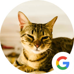 Opinión asesoría con trucos y consejos para gatos felices