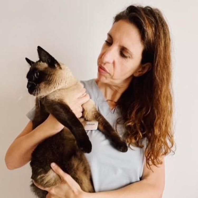 Veterinaria Belen Montoya